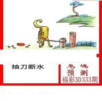 25333期: 白老3D杀码图版