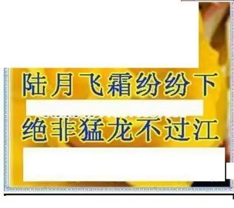 25077期: 三毛3D精品图谜