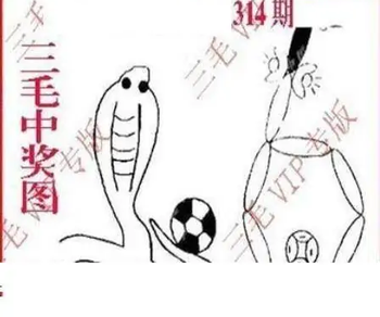 25314期: 三毛3D精品图谜