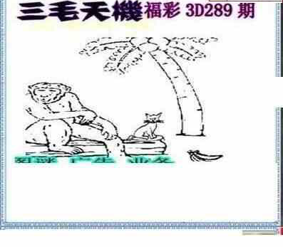 24289期: 三毛3D精品图谜