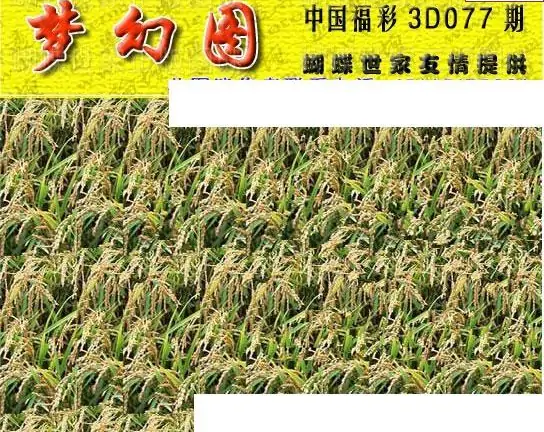 25077��: 3D�������Һ�����ͼ