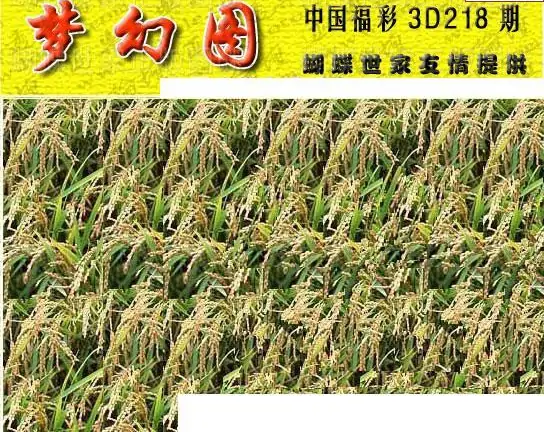 25218期: 3D蝴蝶世家蝴蝶彩图