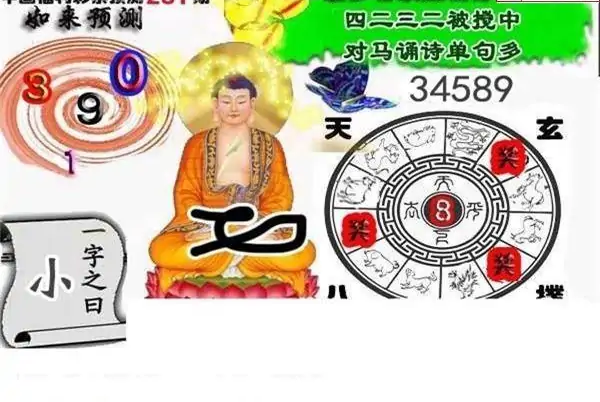 25281期: 白老3D杀码图版