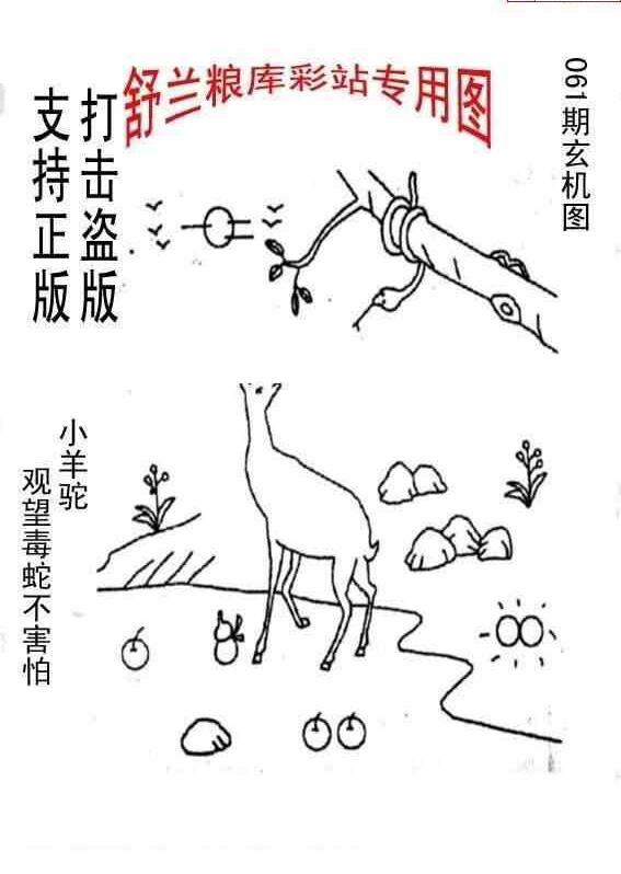 25061期: 老村长福彩3D天天图谜