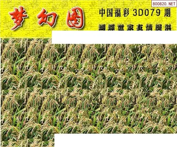 26079期: 3D蝴蝶世家蝴蝶彩图
