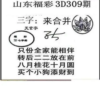 25309期: 三毛3D精品图谜