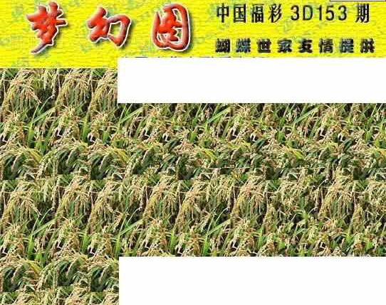 24153期: 3D蝴蝶世家蝴蝶彩图