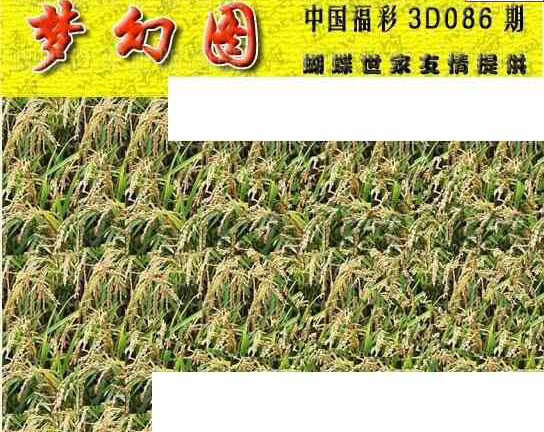 24086期: 3D蝴蝶世家蝴蝶彩图