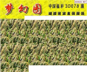 26078期: 3D蝴蝶世家蝴蝶彩图