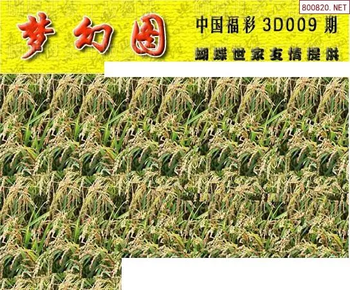 26009期: 3D蝴蝶世家蝴蝶彩图