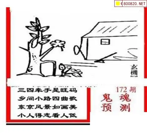 25172期: 三毛3D精品图谜