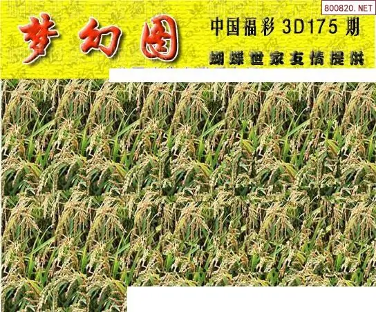 25175期: 3D蝴蝶世家蝴蝶彩图