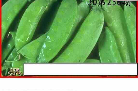 24256期: 白老3D杀码图版