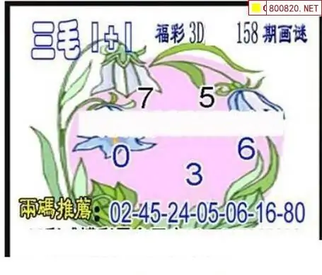 25158期: 三毛3D精品图谜