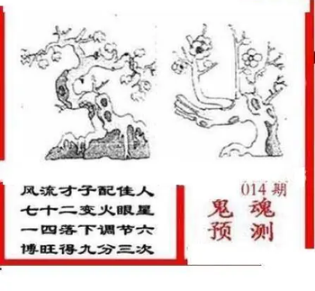 26014期: 三毛3D精品图谜