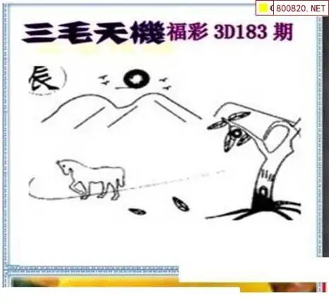 25183期: 三毛3D精品图谜