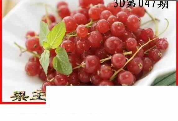 25047期: 白老3D杀码图版