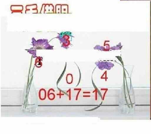 24108期: 三毛3D精品图谜