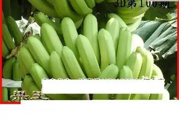 25100期: 白老3D杀码图版