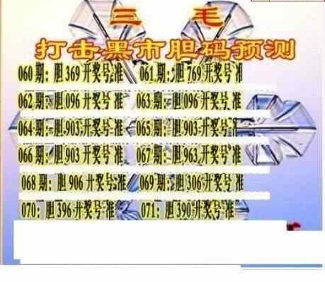 24071期: 三毛3D精品图谜