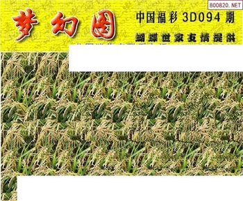26094期: 3D蝴蝶世家蝴蝶彩图