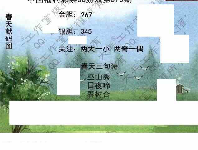 24070期: 大兵福彩3D黄金报图版