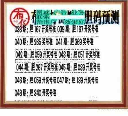 25048期: 三毛3D精品图谜