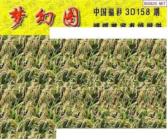 25158期: 3D蝴蝶世家蝴蝶彩图