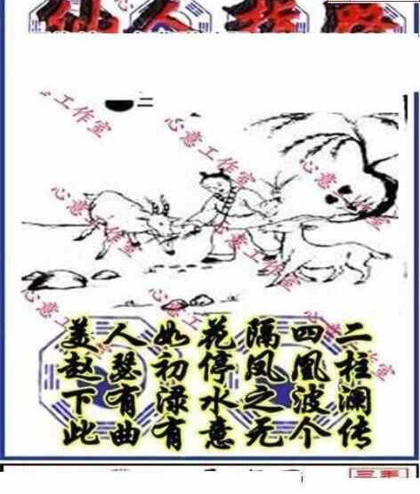 24242期: 三毛3D精品图谜