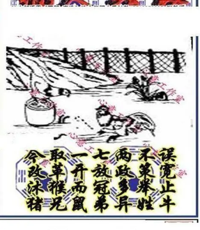 26075期: 三毛3D精品图谜