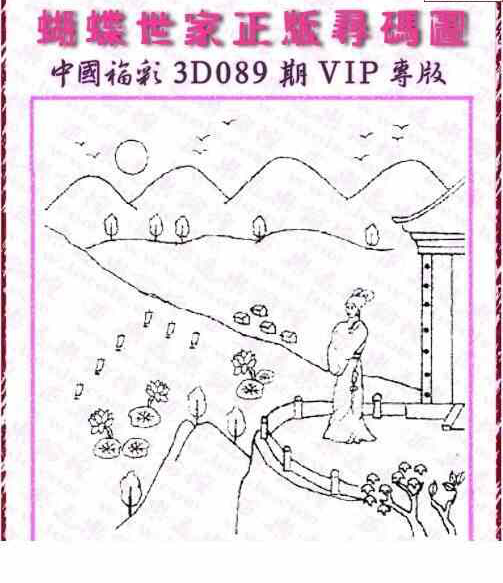 24089期: 3D蝴蝶世家蝴蝶彩图