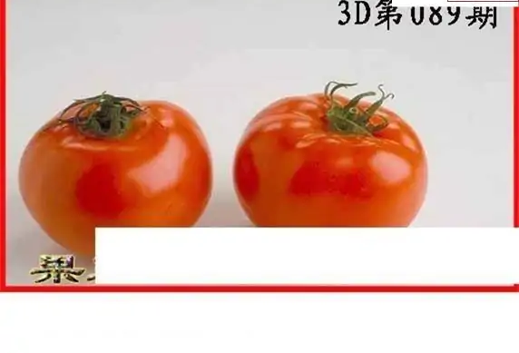 25089期: 白老3D杀码图版