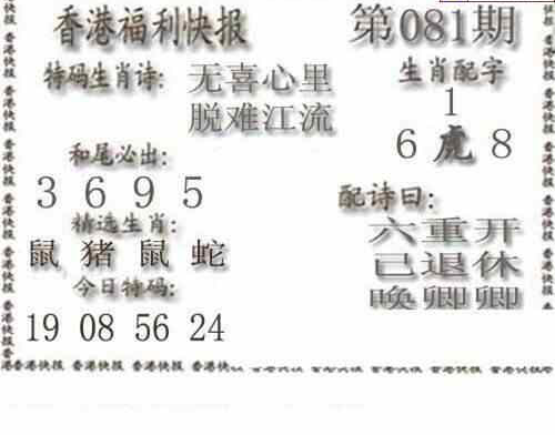 24081期: 白老3D杀码图版