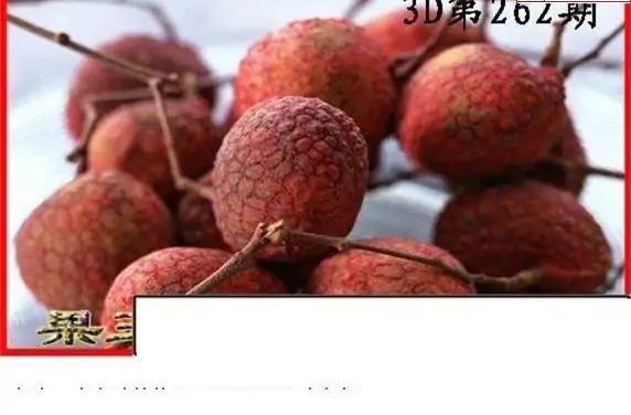 25262期: 白老3D杀码图版