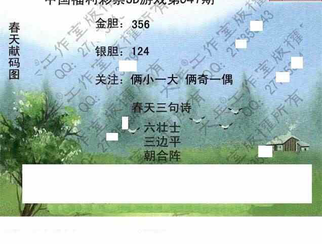 25041期: 大兵福彩3D黄金报图版