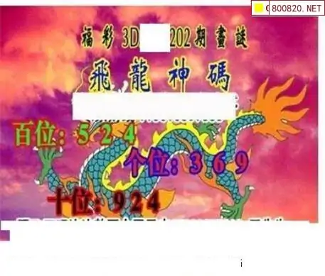 25202期: 三毛3D精品图谜