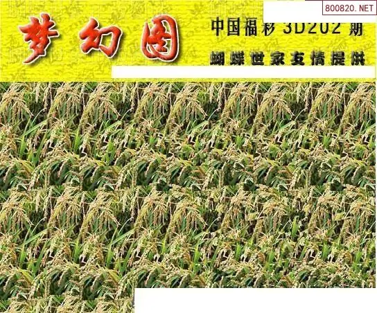 25202期: 3D蝴蝶世家蝴蝶彩图