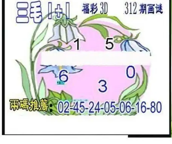 25312期: 三毛3D精品图谜