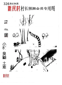 25326期: 老村长福彩3D天天图谜