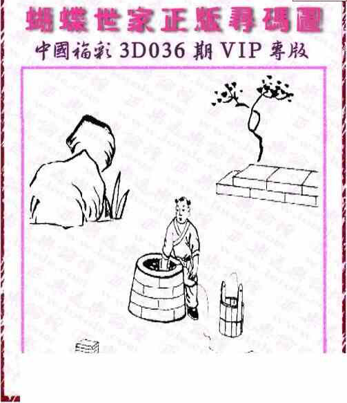 25036期: 3D蝴蝶世家蝴蝶彩图