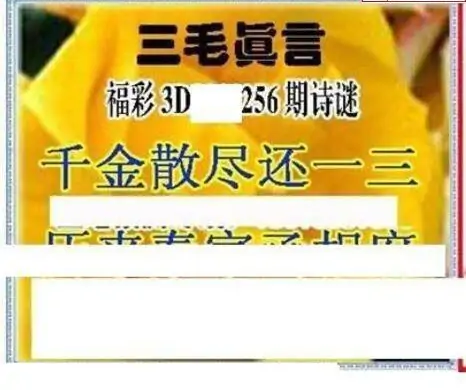 25256期: 三毛3D精品图谜