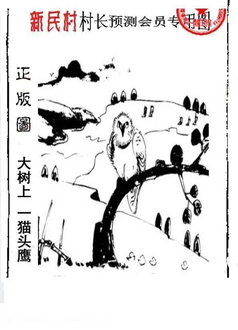 26100期: 老村长福彩3D天天图谜