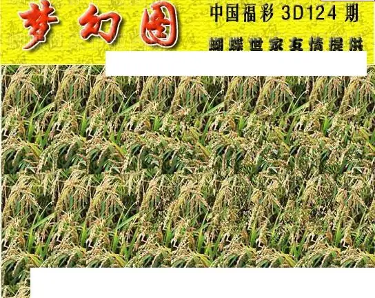 25124期: 3D蝴蝶世家蝴蝶彩图