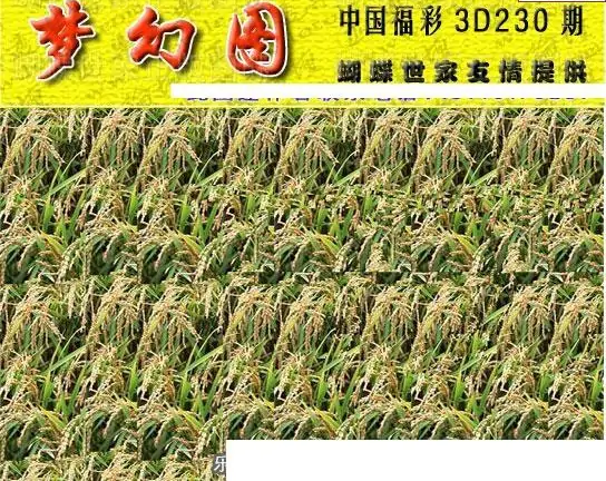 25230期: 3D蝴蝶世家蝴蝶彩图