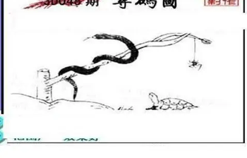 26048期: 三毛3D精品图谜