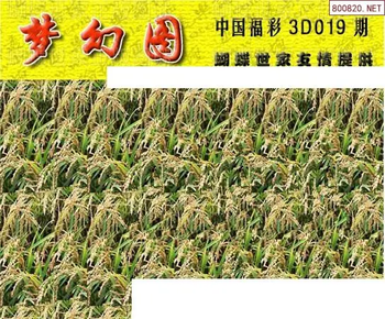 26019期: 3D蝴蝶世家蝴蝶彩图