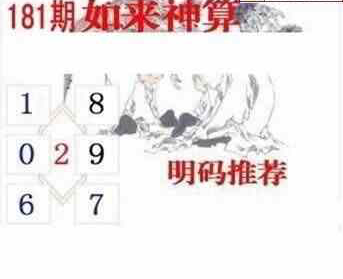 24181期: 白老3D杀码图版