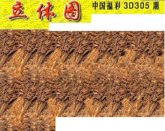 25305期: 3D蝴蝶世家蝴蝶彩图