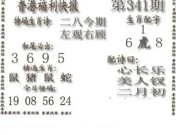 25341期: 白老3D杀码图版