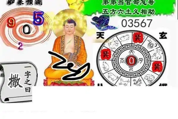 25315期: 白老3D杀码图版